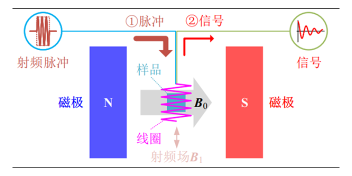 td-nmr非常规岩芯分析,非常规岩芯